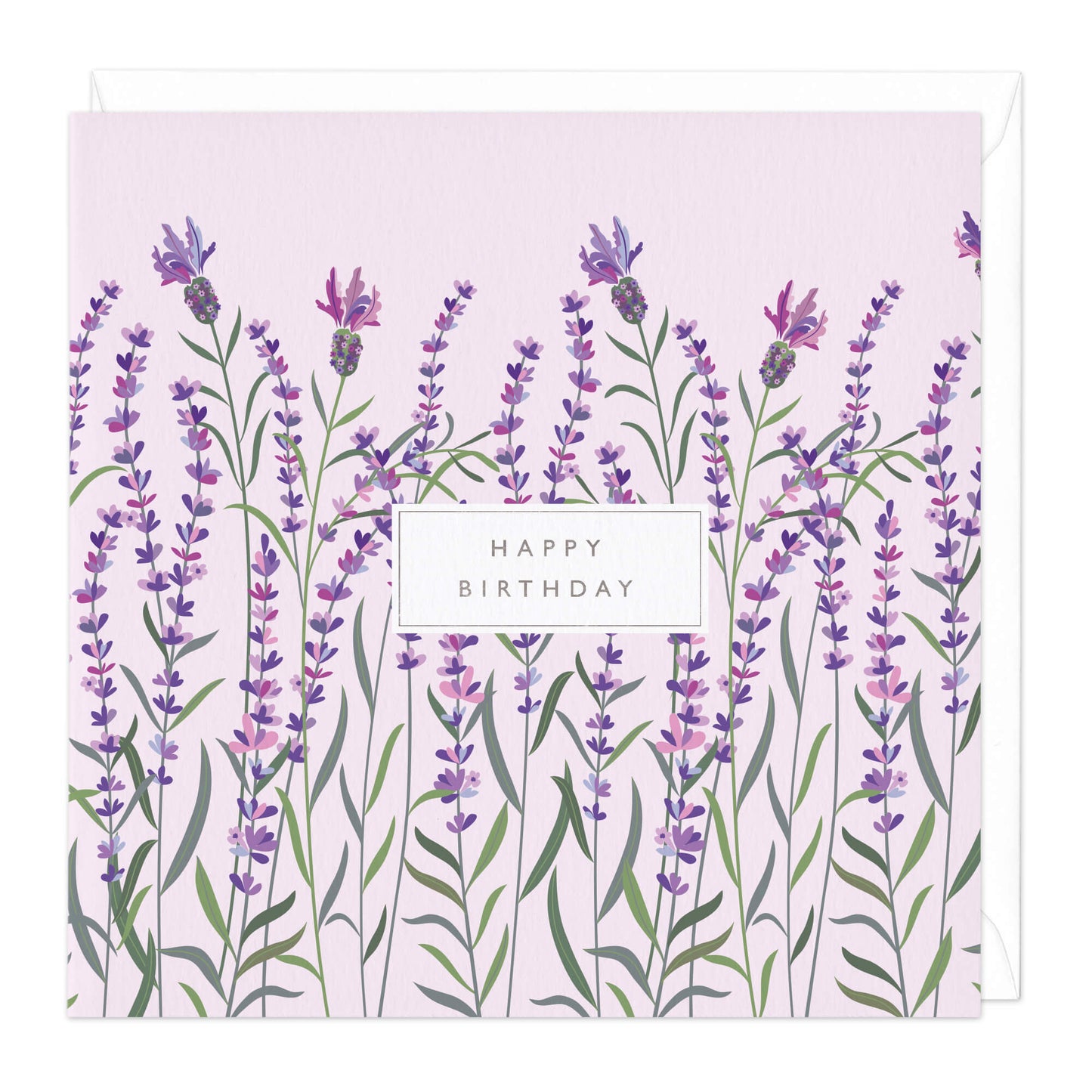 HAPPY BIRTHDAY LAVENDER CARD